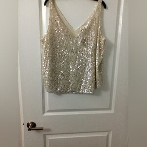 Sequin Sheer  V-Neck Sleeveless Top Size XL By Loft